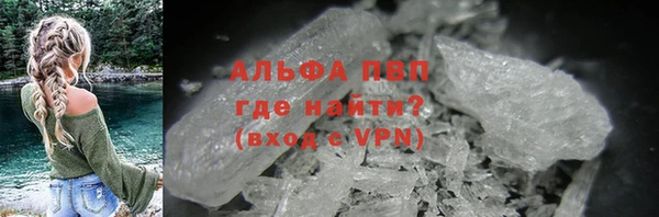 стафф Алексин