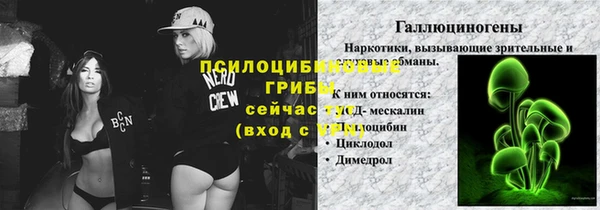 стафф Алексин