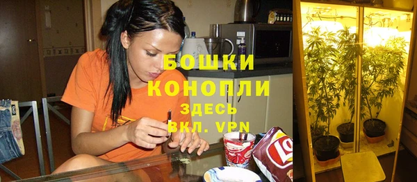 каннабис Алексеевка