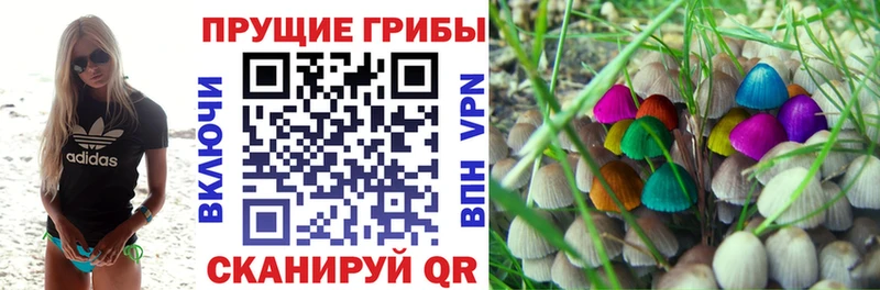 где купить   Сургут  Псилоцибиновые грибы Cubensis 