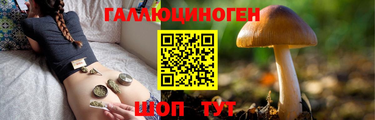 Сургут  купить наркотик  Вход с VPN  Псилоцибиновые грибы мицелий 